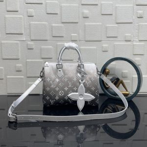 루이비통 LV SKI 스피디 반둘리에 25 프로스트 나일론 모노그램 M11848